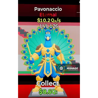 Pavonaccio