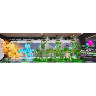 X5 Cannelloni Dragoni Bundle 