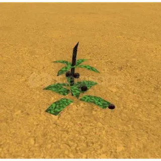 20 dogbane herbs/Bridger western 