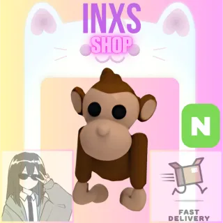 N MONKEY