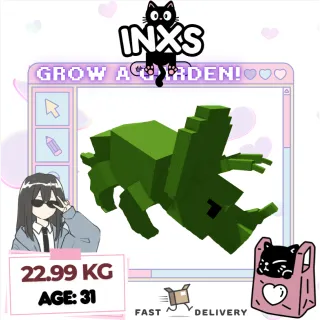 HUGE GIANTBEAN TRICERATOPS