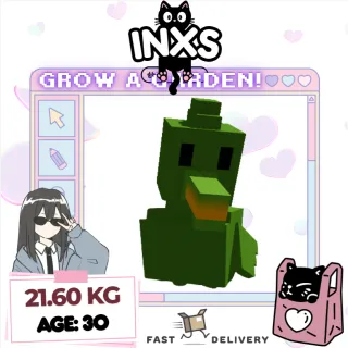 HUGE GIANTBEAN SEAGULL