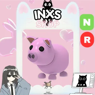 NR PIG