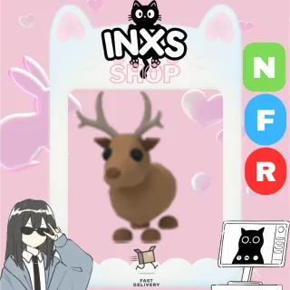 NFR REINDEER