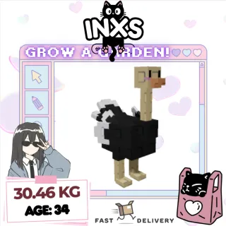 SEMI-TITANIC OSTRICH