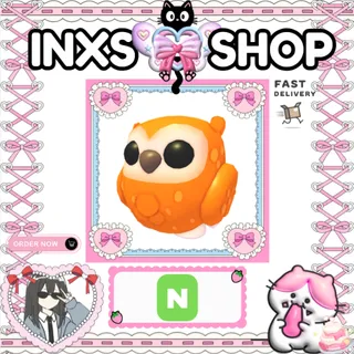 NEON CLEMENTINE OWL