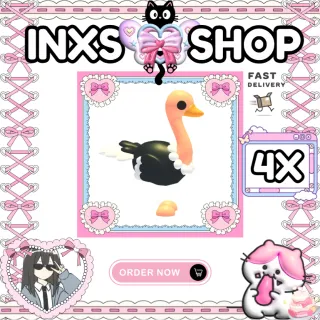 OSTRICH 4X