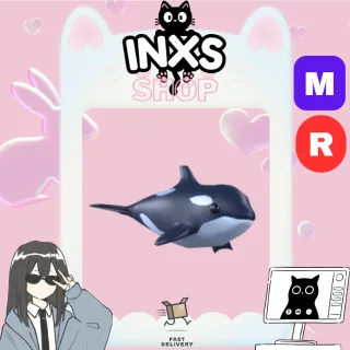 MR ORCA