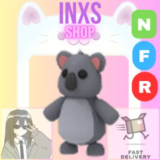 NFR KOALA