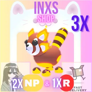 TOASTY RED PANDA 3X