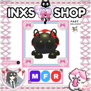 MFR LADYBUG
