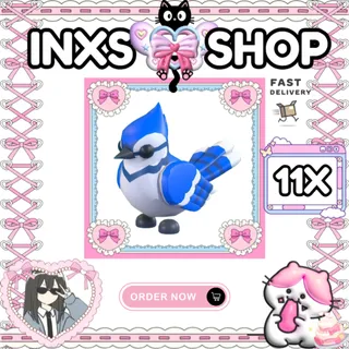 BLUE JAY 11X
