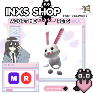 MR BUNNY
