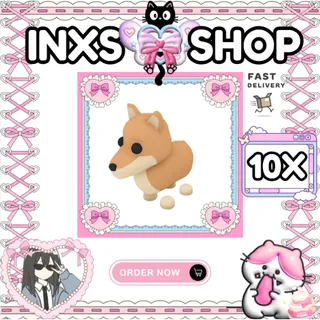 DINGO 10X