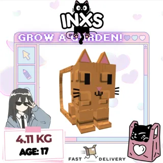 Photo de l'annonce