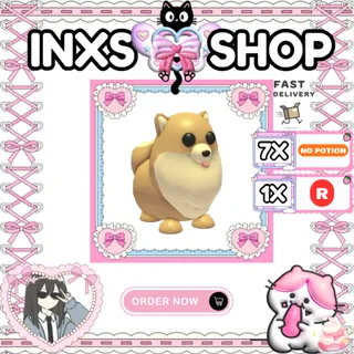 POMERANIAN 8X