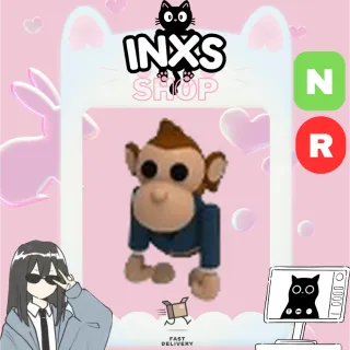 NR BUSINESS MONKEY 