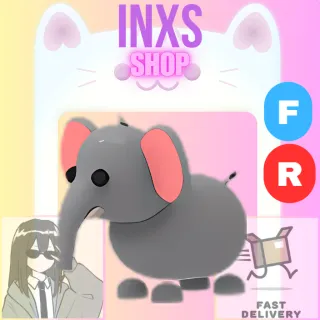 FR ELEPHANT