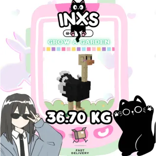 SEMI-TITANIC OSTRICH (36.70 KG) 