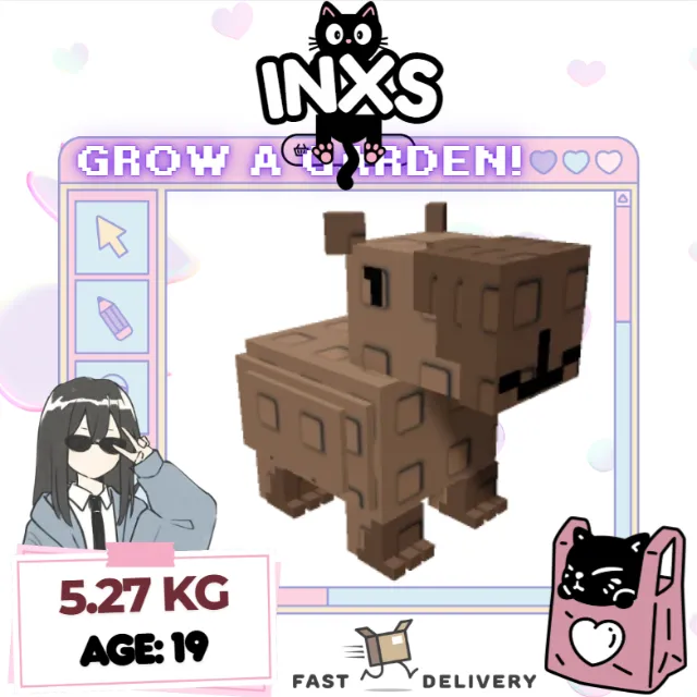 รายการภาพถ่าย