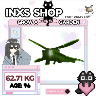 HUGE GIANTBEAN DRAGONFLY