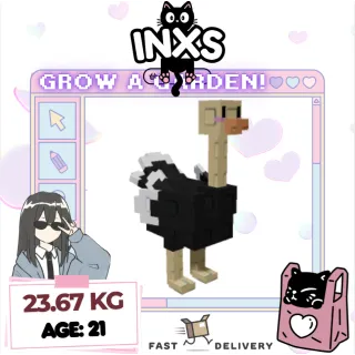 TITANIC GIANTBEAN OSTRICH