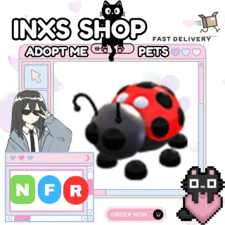 NFR LADYBUG