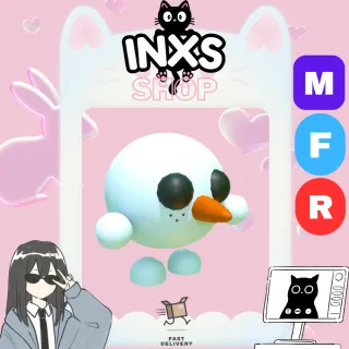 MFR SNOWBALL PET