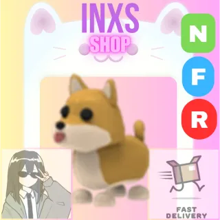 NFR SHIBA INU