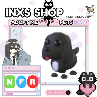 NFR ROYAL PALACE SPANIEL 