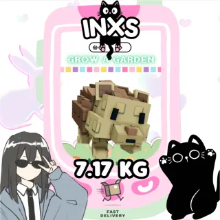 GIANTBEAN HEDGEHOG (7.17 KG) 