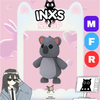 MFR KOALA 