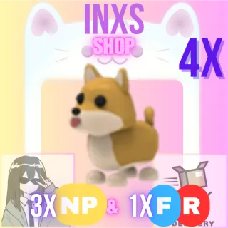 SHIBA INU 4X