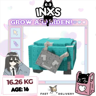 HUGE INVERTED LADYBUG