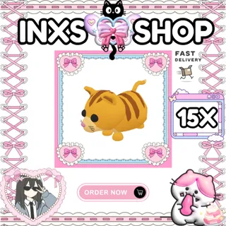 GINGER CAT 15X