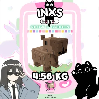 MEGA CAPYBARA (4.56 KG)