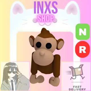 NR MONKEY