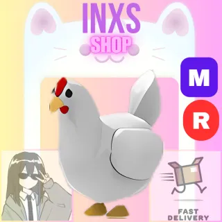 MR CHICKEN