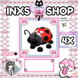 LADYBUG 4X