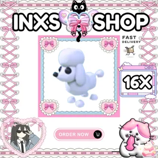 POODLE 16X