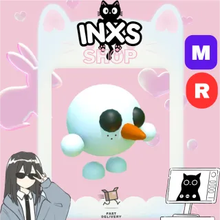 MR SNOWBALL PET