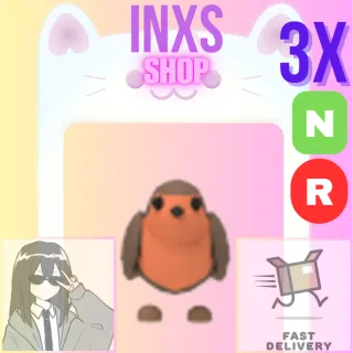 NR ROBIN 3X