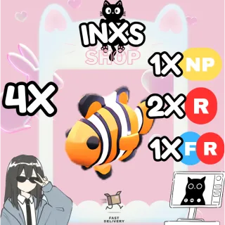 CLOWNFISH 4X