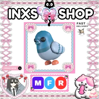MFR ROCK PIGEON 