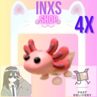 AXOLOTL 4X