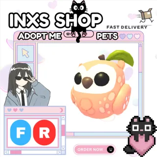 FR PEACH OWL