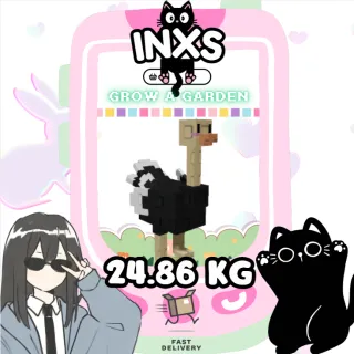 HUGE GIANTBEAN OSTRICH (24.86 KG) 