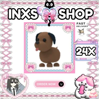 CHOCOLATE LABRADOR 24X