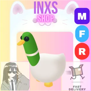 MFR SILLY DUCK