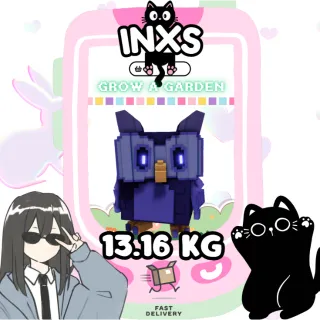 MEGA NIGHT OWL (13.16 KG)